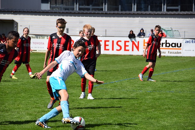 来职业生涯 来职业生涯