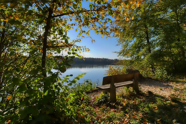 格林伍德在 格林伍德在