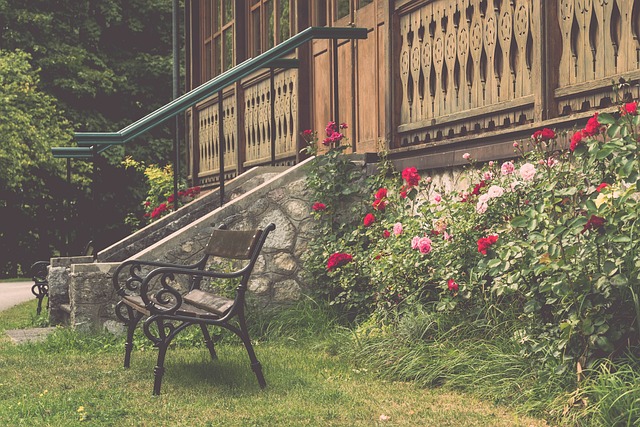 鋒老將吉魯 鋒老將吉魯